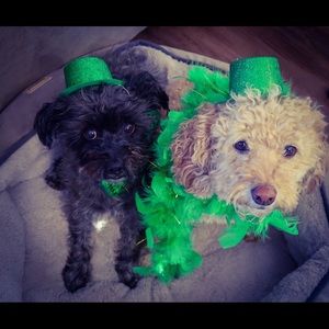 Meet your Posher, Joanne